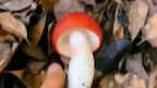 你以为的抽象派可能是写实