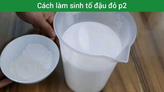 Cách làm sinh tố đậu đỏ p2