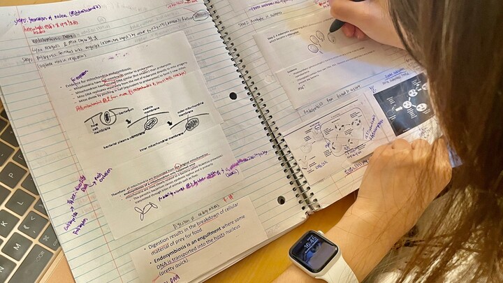 مهما كانت الأشياء أنيقة وجميلة، فإنها بلا شك تكمن وراءها جهود مبذولة في الخفاء.