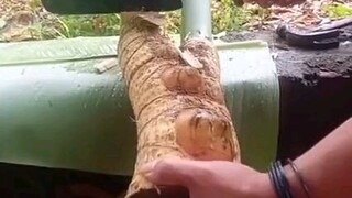 bambu mistis