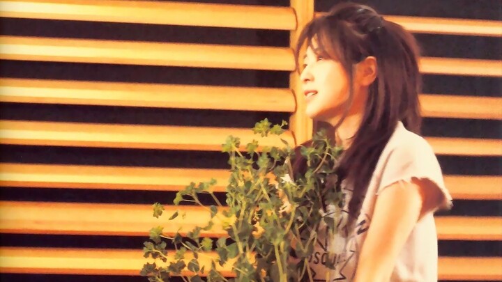 ZARD - "Like a Sail Awaiting the Summer Breeze"