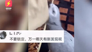 河南女子丢手机1年后竟定位在中东 随后同步的视频让她懵了