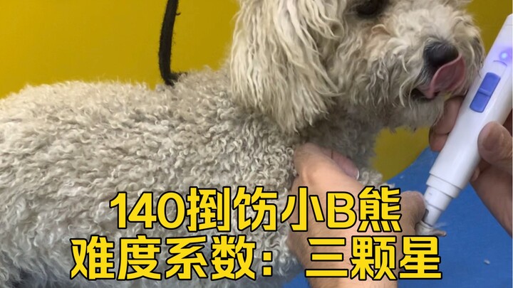 Taking on a job to refurbish a little B Bear—difficulty level: three stars!