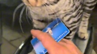 เจ้าหน้าที่ โปรดอย่ารบกวน