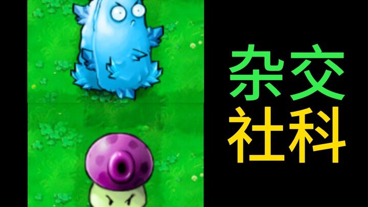 假如用杂交植物学习相对剥夺感【pvz社科】