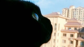 Akhirnya mereka berdua bersama! Sama-sama menduduki tempat tidurku!