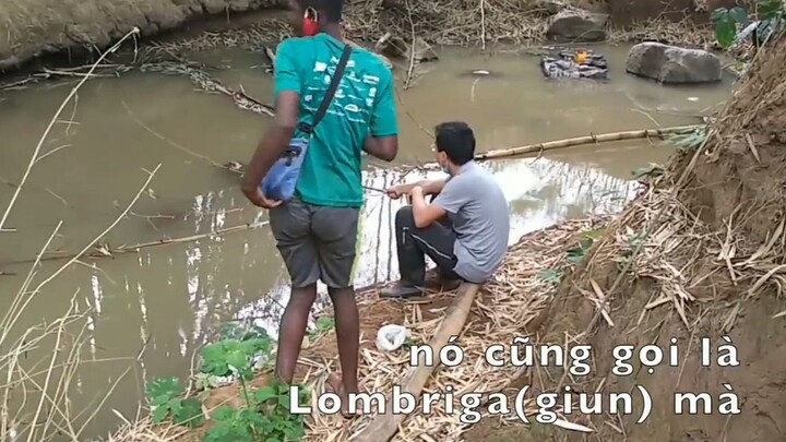 Cuộc sống châu phi__ Seri đi câu ở Châu phi__ P1__ Câu cá ở Angola