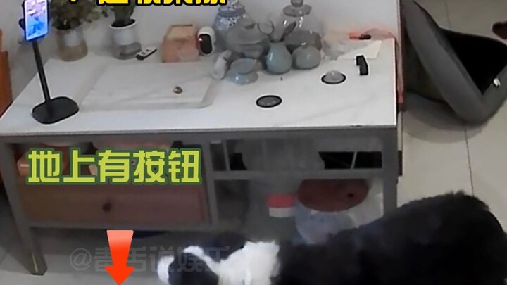 لم أكن أتوقع أن من سيتضرر في النهاية سيكون صديقي بالضبط