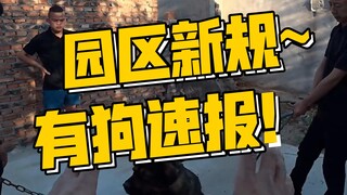 Pan Hong Park's new regulations—urgent dog update! Withdraw!!