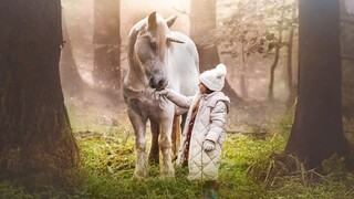 Cerita Tentang Hutan UniCorn (2025) Sub Indo