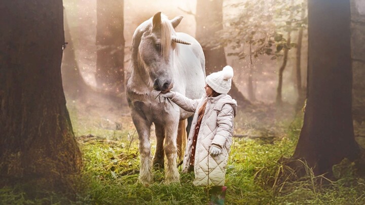 Cerita Tentang Hutan UniCorn (2025) Sub Indo
