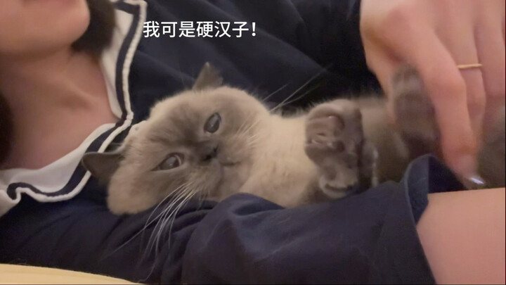 The kitten won’t sleep, just keeps mewing.