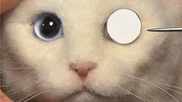 How much of an impact do different eyes really have on attractiveness?