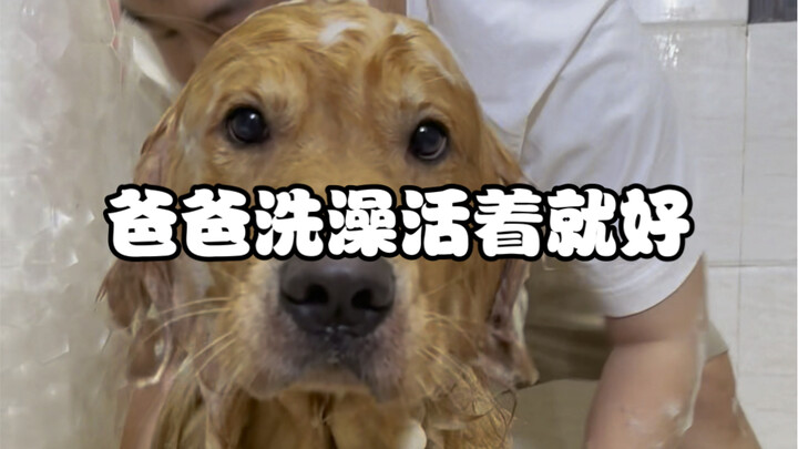 Aunties! Dad only takes one bath, not zero! See how important emotional stability is!