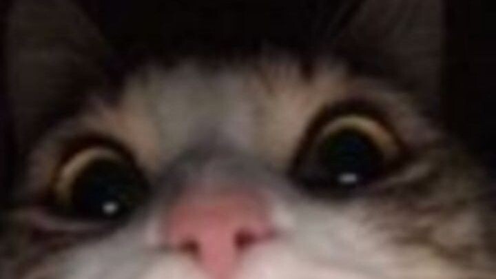 mlbb wanwan 1vs4 hajar sampai dapet maniac