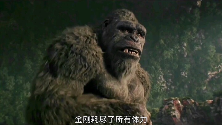 Thâm Hải Giao Long thật quá oan uổng, chẳng hiểu vì sao lại bị Godzilla xé nát không thương tiếc