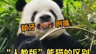 لا عجب أن الطلاب يستطيعون معرفة المعلم الذي يعلمهم من خلال لمحة واحدة!