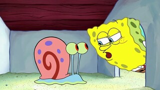 SpongeBob SquarePants: Bagaimana jika karakter utama SpongeBob SquarePants berubah menjadi binatang?