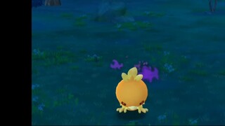 Pokémon GO-Shadow Torchic