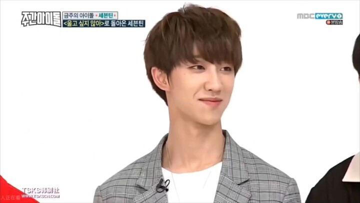 【Seventeen】次人随机舞蹈挑战，又酷又搞笑