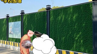 五一大学生请假现状