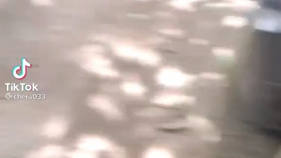 parang ayaw kona magtiktok