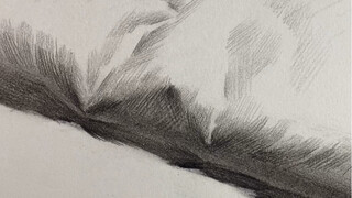 [Sketch Still Life] How to draw the thickness of the lining cloth