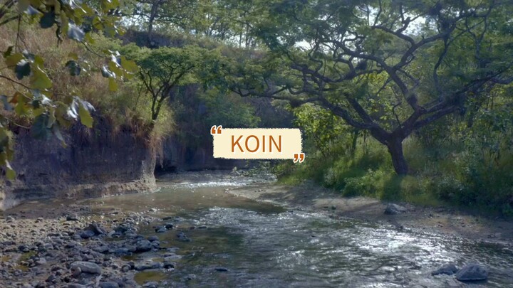 KIRIM KOIN DONG