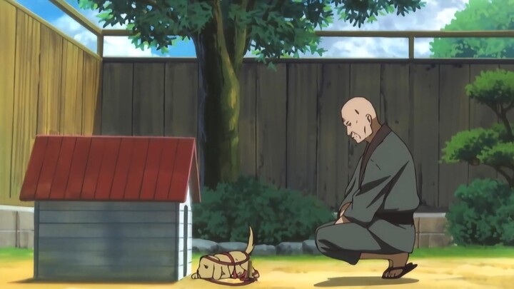 Episode 113: Remember the dog Gintarō from Gintama? #Gintama #AnimeAnalysis
