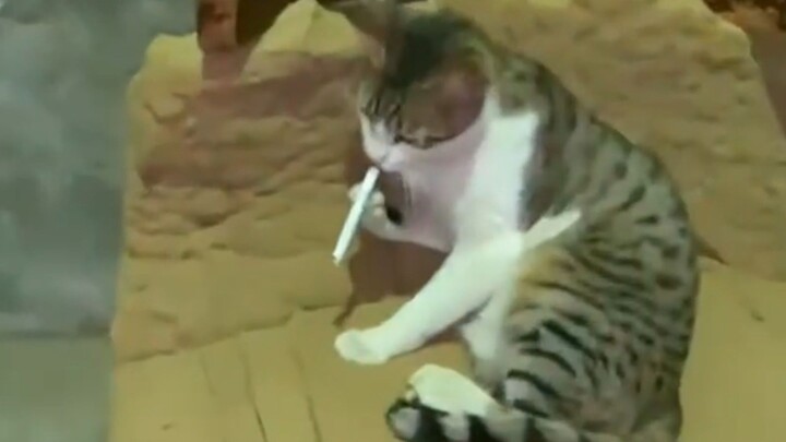 “อย่าเรียกฉันว่ามีมี่เวลาอยู่ข้างนอก ให้เรียกฉันว่าซางเปียว”