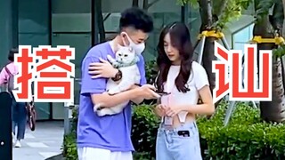 วิธีใช้แมวเพื่อแชท