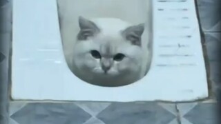 猫 咪 破 坏 者 联 盟