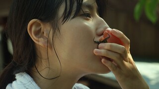 【Rừng Nhỏ】Mỗi giây phút sống nghiêm túc đều là một món quà