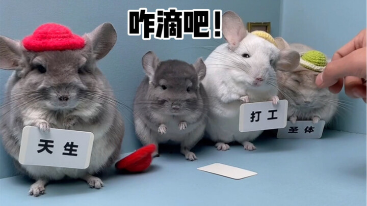 This little Totoro is completely broken…