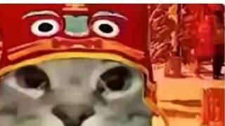 [Little C Zu] The video has been packaged, welcome to watch!