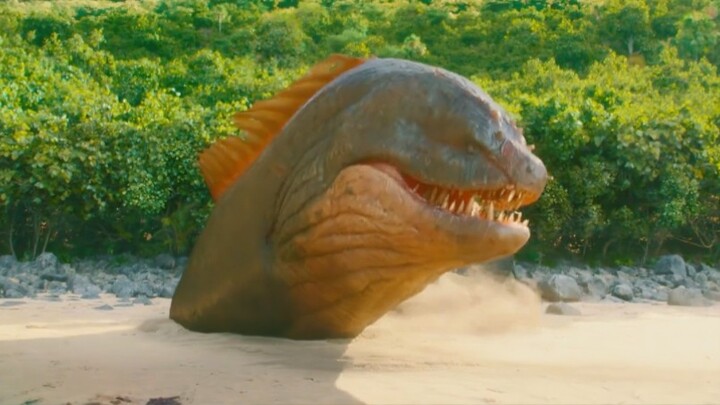 Mọi người thu hút quái thú biển sâu, kết quả gặp phải nguy cơ