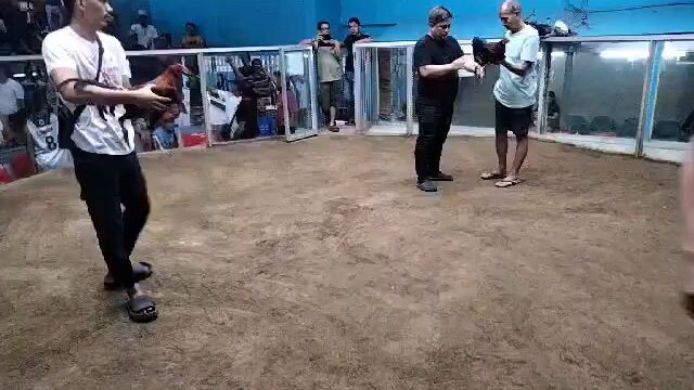 loss muna , bawe na lang ganyan tlga sabong