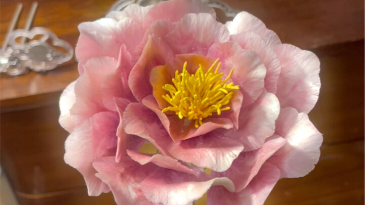 Have you ever seen velvet flowers that open and close automatically?