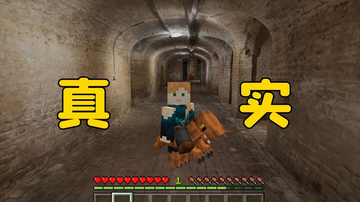 Minecraft: Is this MC? Don't try to trick me with photos again