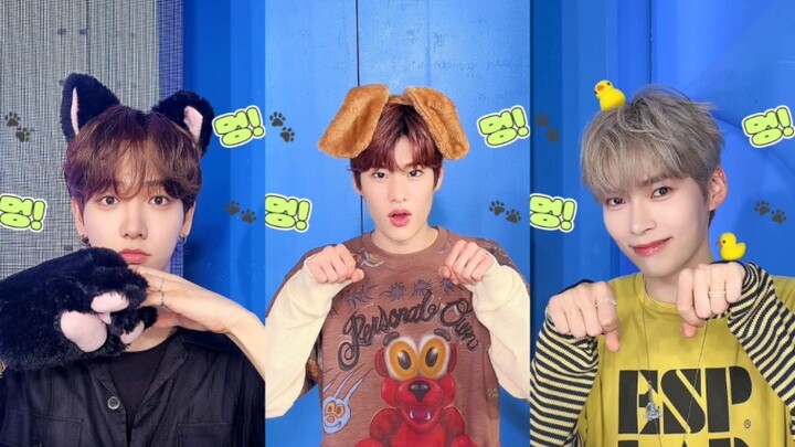 萌晕 汪多喵🐶🐥🐱灵魂交换后汪汪恰恰challenge【明宰铉 Sohee 成韩彬】