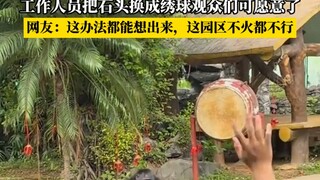 动物园里人猩猩爱丢石头，工作人员把后头换成绣球观众们可愿意了！！
