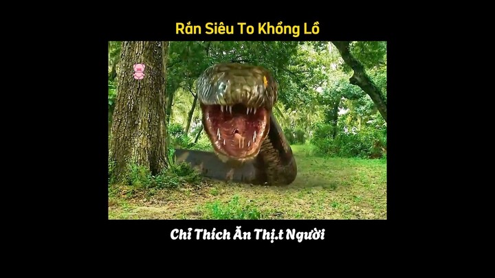 Con Rắn Siêu To Khổng Lồ, Tấn Công Nhóm Sinh Viên Thám Hiểm