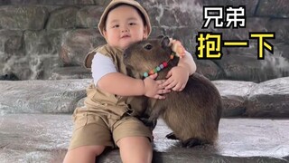 那些有爱的动物视频！
