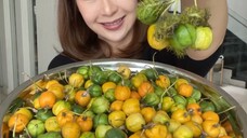 Markisa mini bayi nya markisa gak sih ini …. Teksturnya mirip banget , tapi ini kulitnya gak tebal