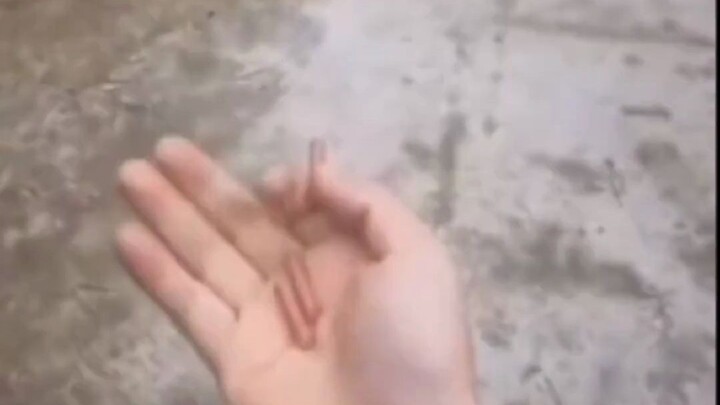 Những hành vi khó hiểu của con người level max