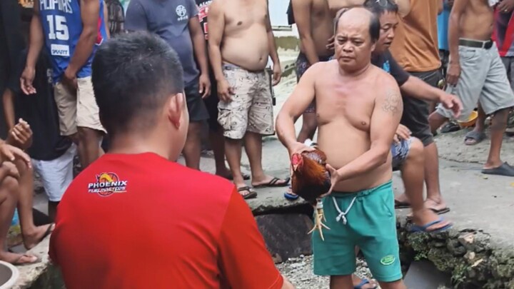 Dale ang manok ni maet