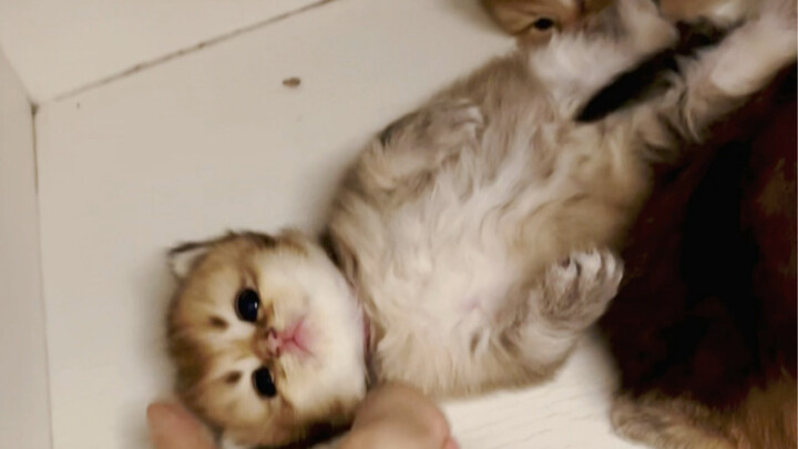 查寝发现一个不睡觉的小朋友😮‍💨