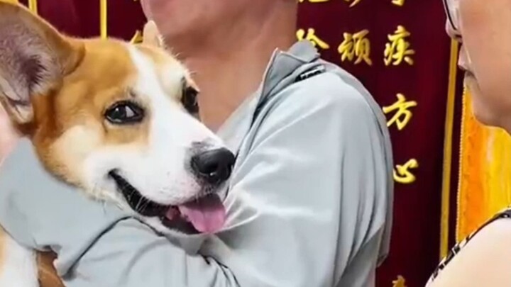 Cooking broccoli with meat... What a niche term!