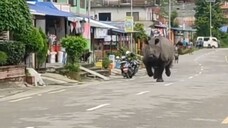 jalan jalan bentar.🗿