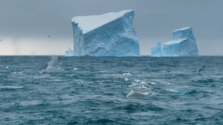 BBC.Seven.Worlds.One.Planet.1of7.Antarctica